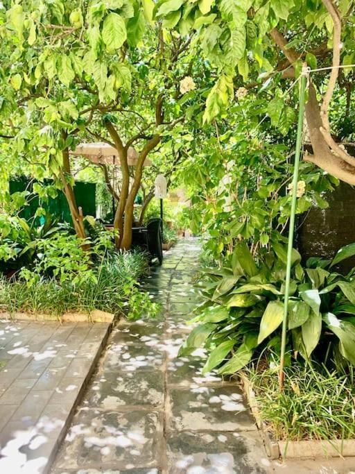 Casa Adele Leilighet Monterosso al Mare Eksteriør bilde